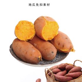 地瓜素材