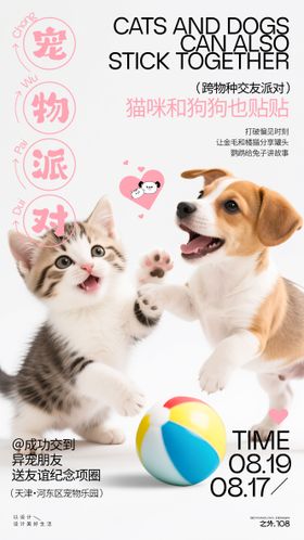 宠物派对活动宣传海报