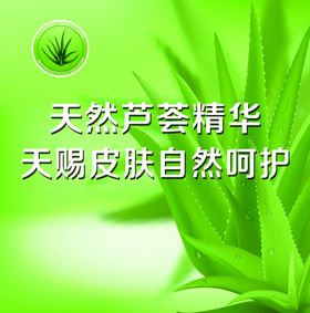 班痘海报芦荟图片