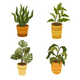 绿色植物画册