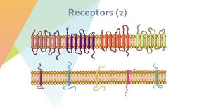 细胞生物学和组织学