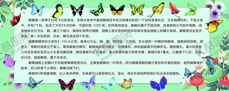 编号：19096209191904204945【酷图网】源文件下载-蝴蝶简介