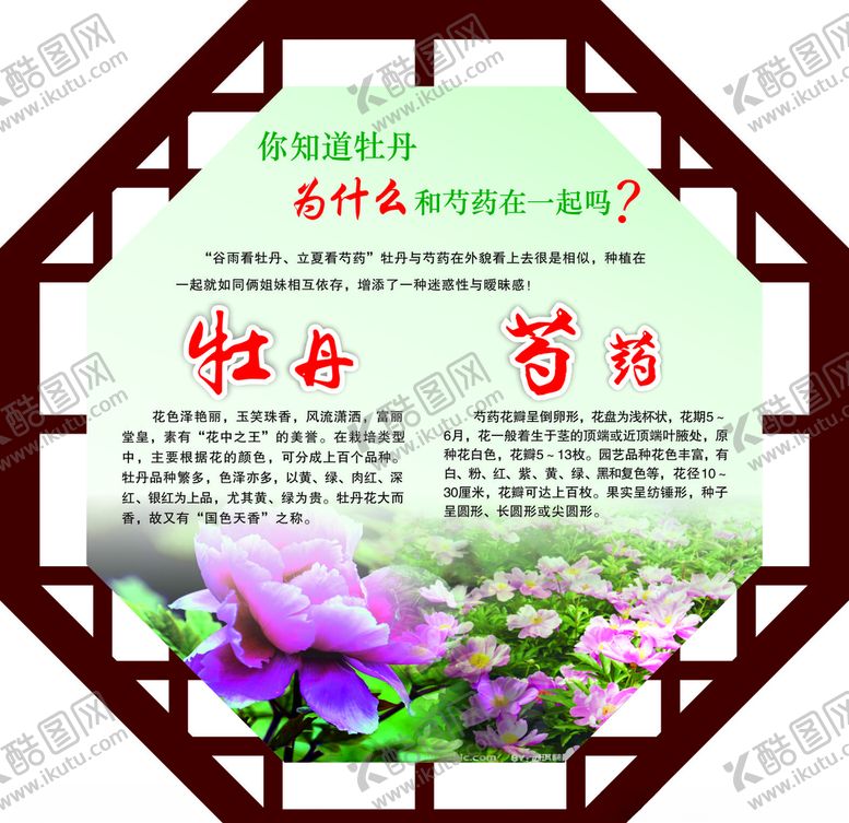编号：15168504212246369442【酷图网】源文件下载-牡丹芍药