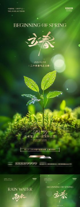 立春雨水节气简约质感海报