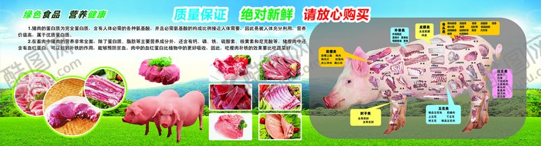 编号：44312610241545347778【酷图网】源文件下载-生鲜猪肉