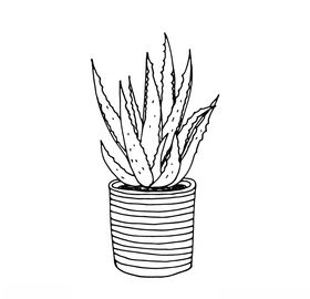 植物线稿