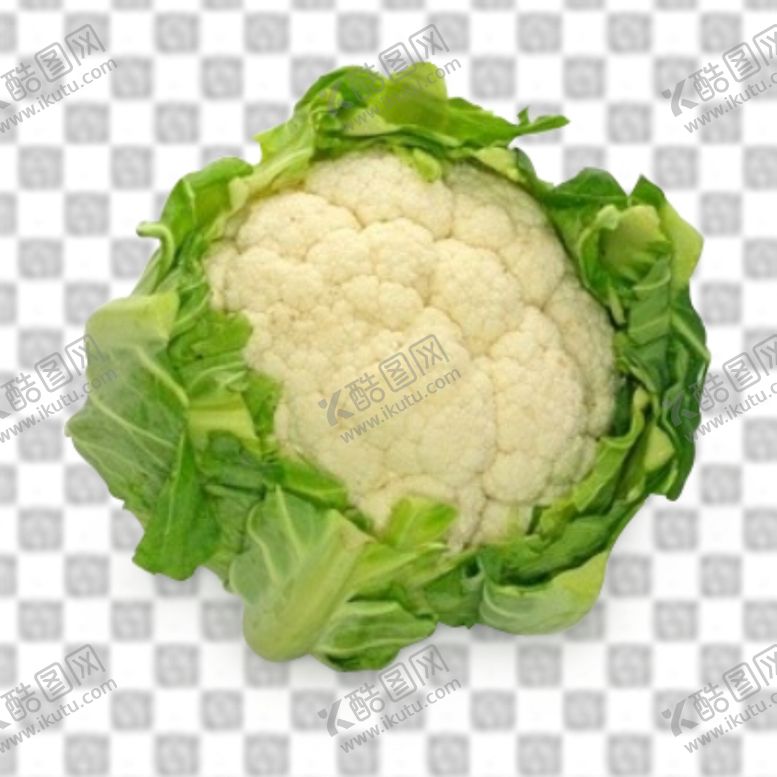 编号：29121209152243517565【酷图网】源文件下载-花菜