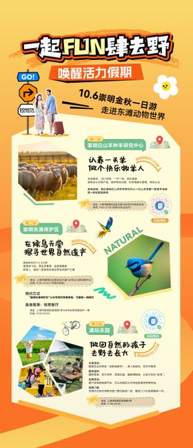 景点打卡易拉宝