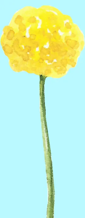 花卉树叶