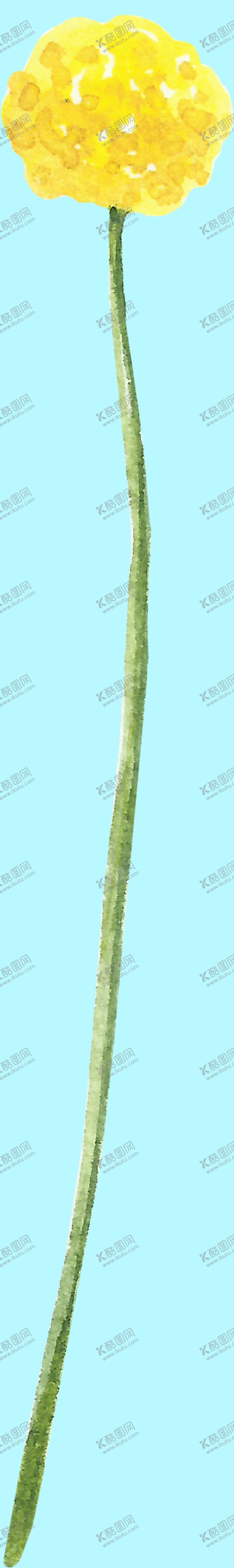 编号：89640207132127523465【酷图网】源文件下载-花卉树叶