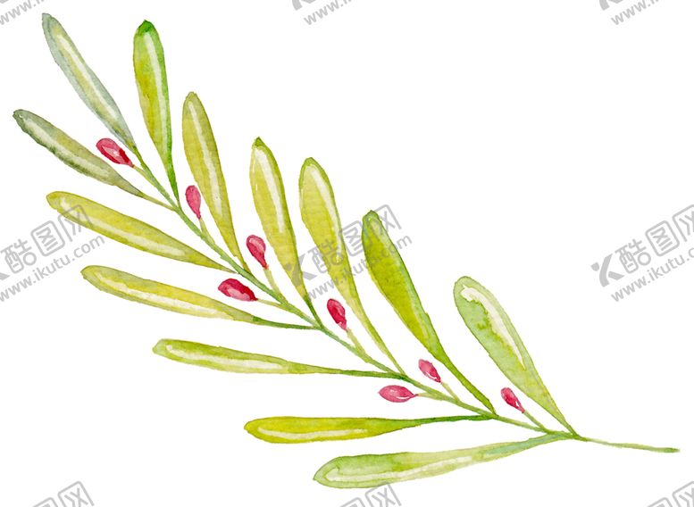 编号：74415210121407126630【酷图网】源文件下载-水彩植物