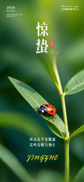 惊蛰二十四节气海报房地产花朵春天瓢虫