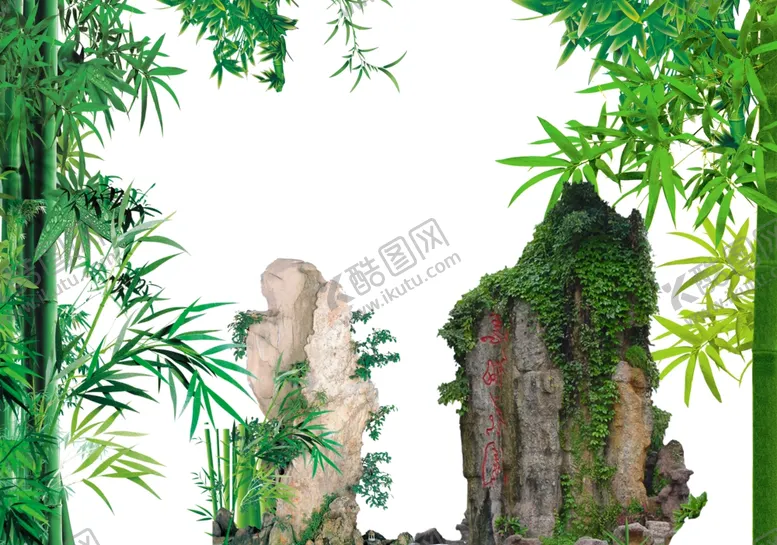 编号：33542902281822513874【酷图网】源文件下载-富贵竹