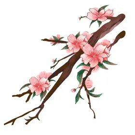 桃花瓣背景朵瓣素材手绘瓣