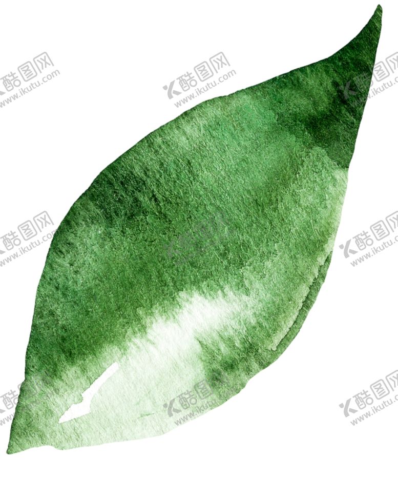 编号：76352010180352354962【酷图网】源文件下载-树叶