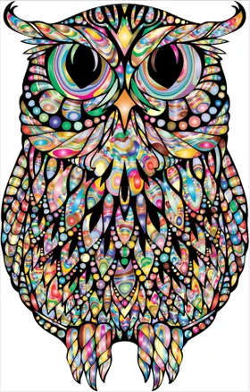 彩色猫头鹰图案艺术插画