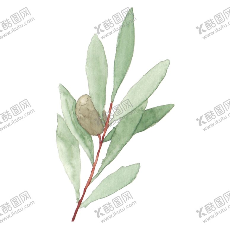 编号：53917506252030232891【酷图网】源文件下载-花朵