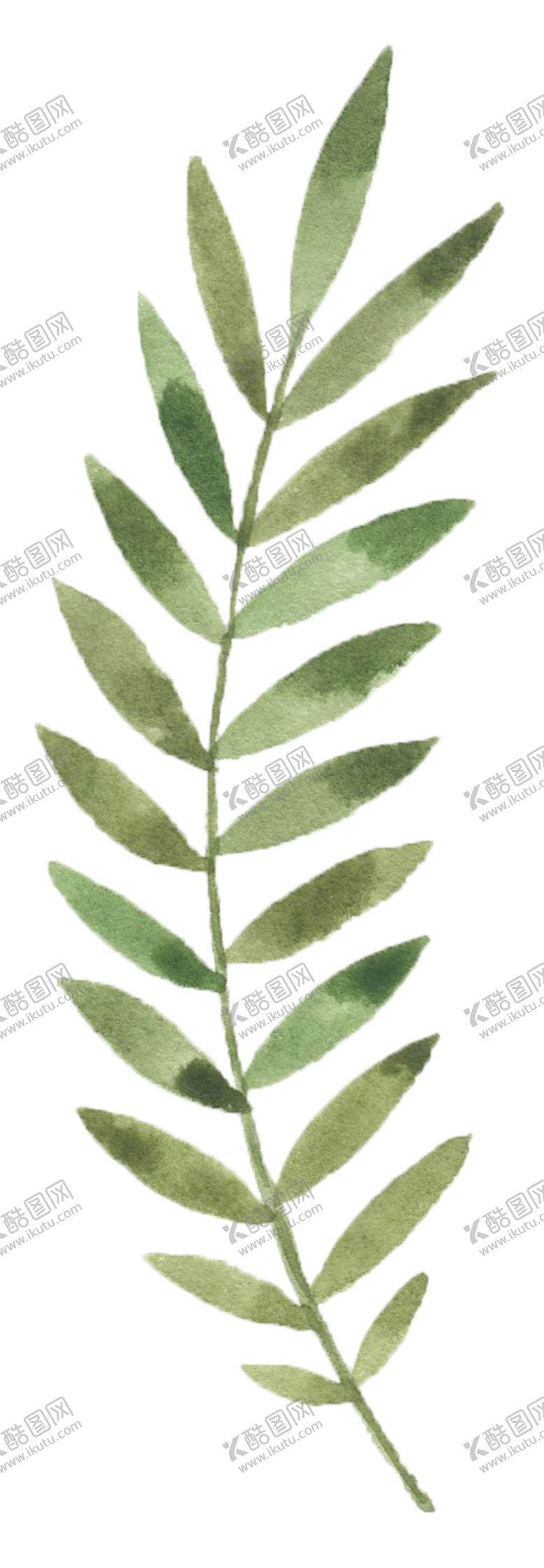 编号：94847910250319076870【酷图网】源文件下载-手绘植物花卉