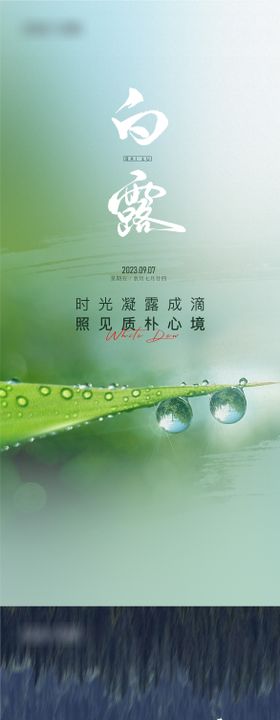 白露节气海报