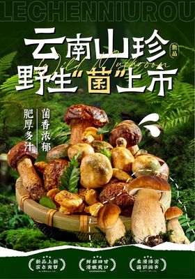 云南野生菌