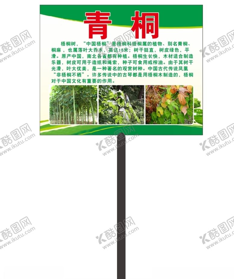 编号：97896907040438332098【酷图网】源文件下载-园林园艺青桐树简介牌