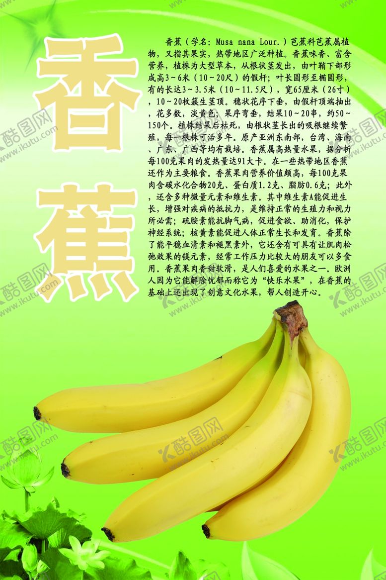 编号：76054510260008034127【酷图网】源文件下载-水果文化系列之香蕉