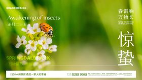 惊蛰节气海报房地产绿色广告展板瓢虫