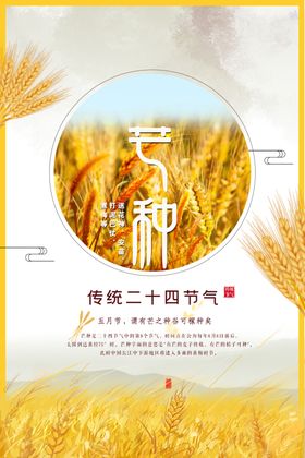 芒种海报微信金色麦节气朋友圈