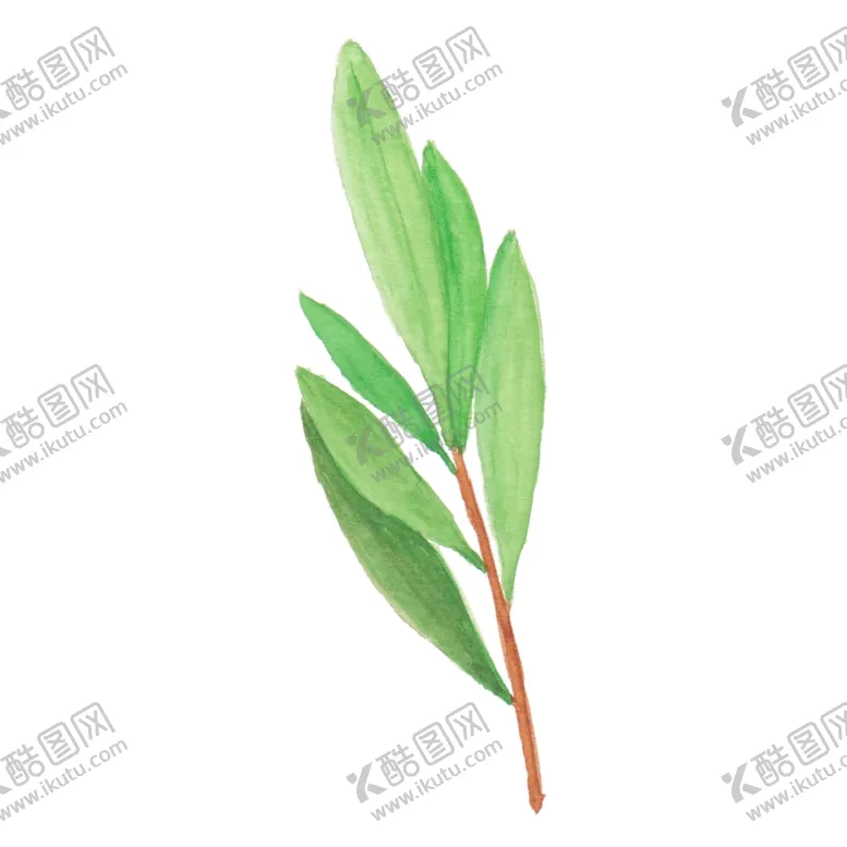 编号：94493806270535376465【酷图网】源文件下载-花朵