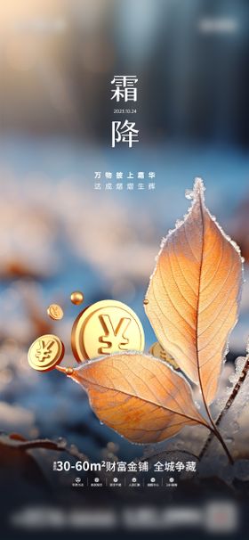 霜降海报地产二十四节气冬天