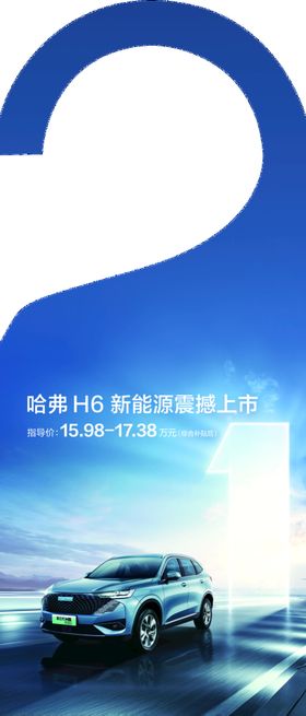 H6phev吊牌