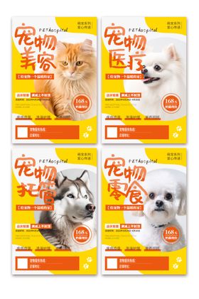 宠物