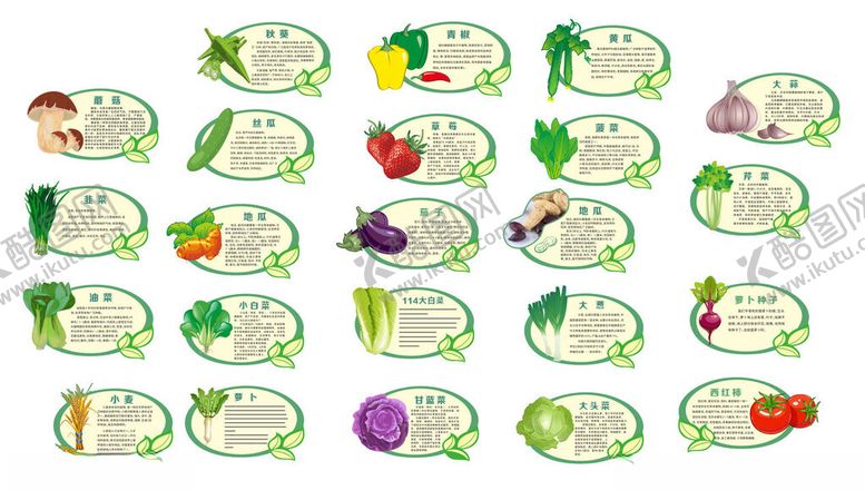 编号：23016010162337143306【酷图网】源文件下载-蔬菜信息牌