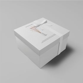 VI包装盒效果图成稿样机
