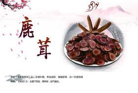 鹿茸菌烧虾仁