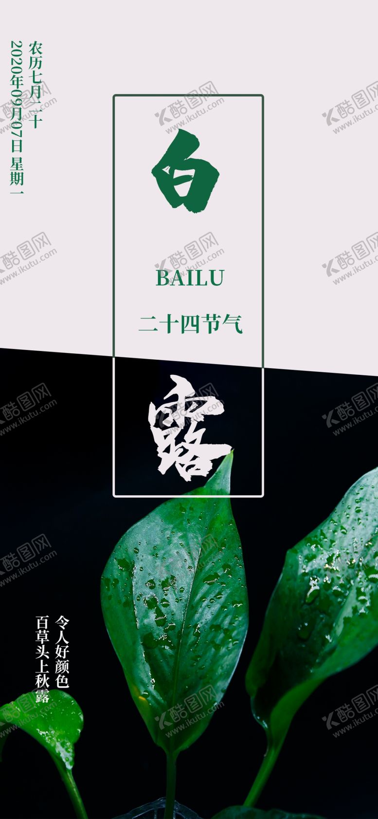 编号：53193306282202155424【酷图网】源文件下载-白露海报