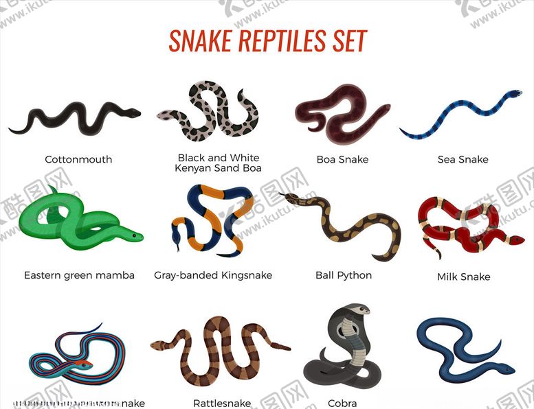 编号：54617106190316599858【酷图网】源文件下载-卡通蛇