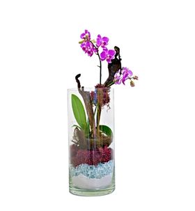 花艺