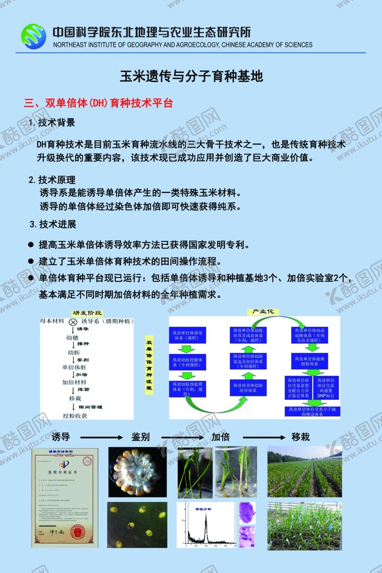 编号：25350405120337466653【酷图网】源文件下载-农业