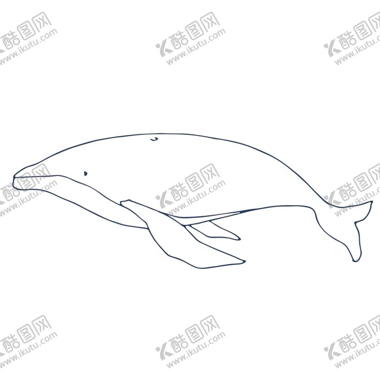 编号：22887406242340512476【酷图网】源文件下载-手绘海洋生物