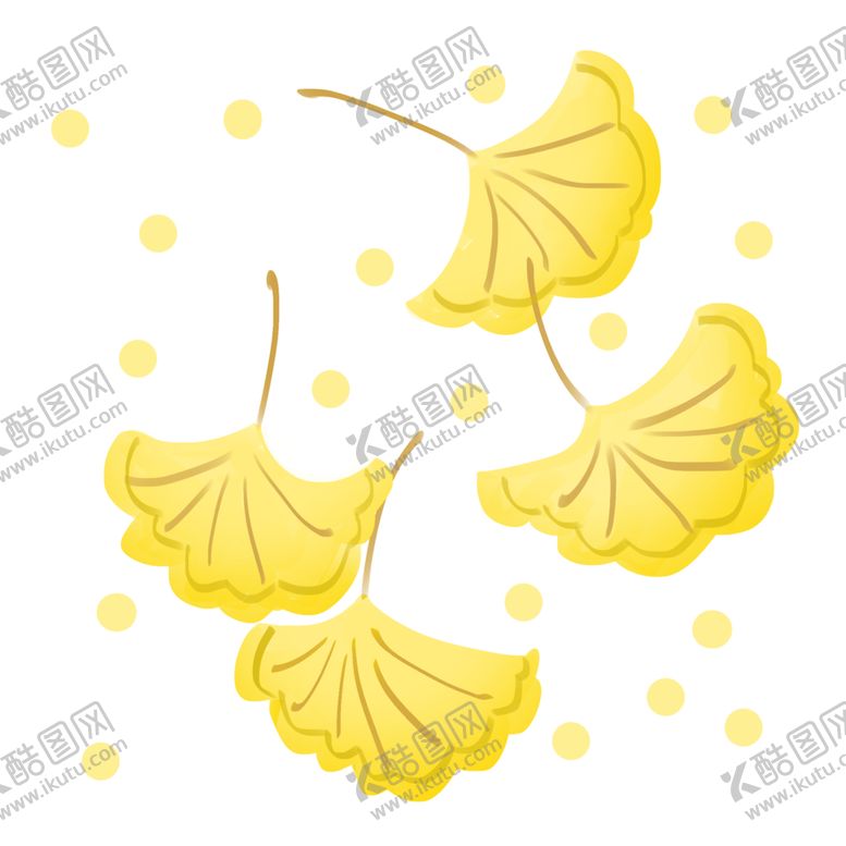 编号：17242005161648581288【酷图网】源文件下载-秋天银杏叶
