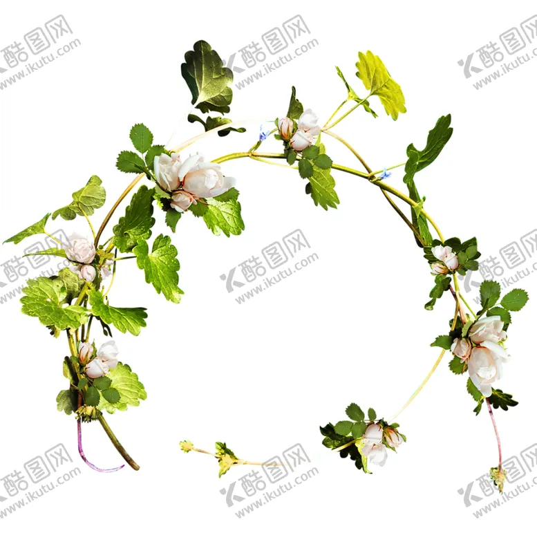 编号：21904206301539503050【酷图网】源文件下载-花边素材