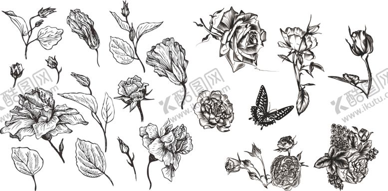 编号：80067811011103294868【酷图网】源文件下载-玫瑰描稿