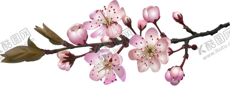 编号：61158403280730503234【酷图网】源文件下载-桃花