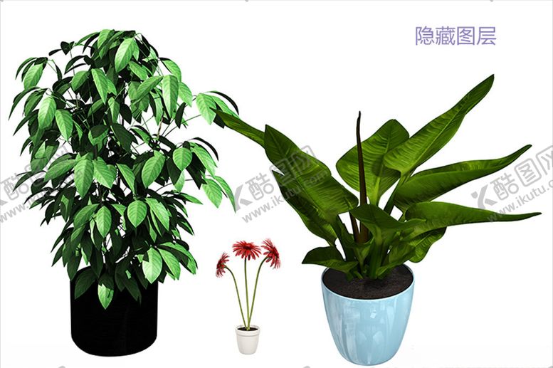 编号：27932005070942489862【酷图网】源文件下载-盆栽植物