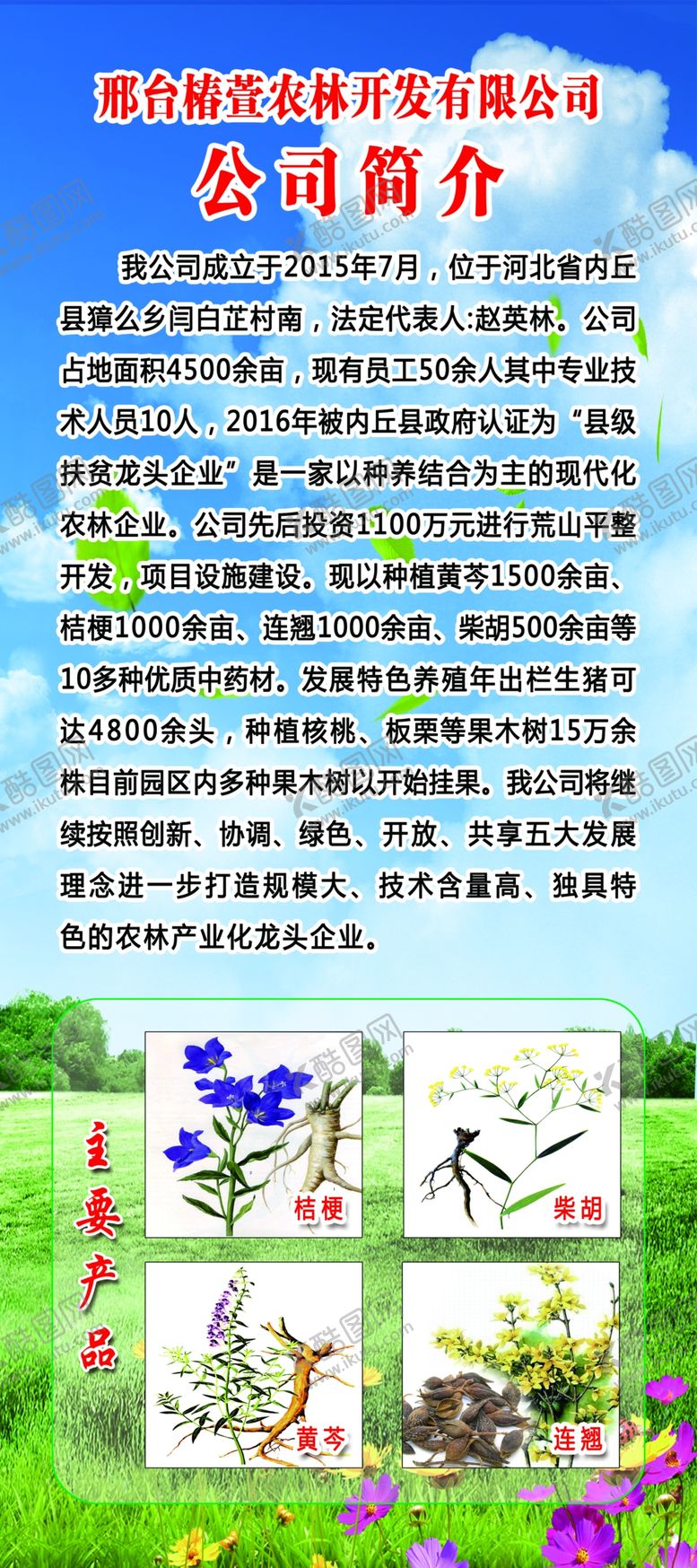 编号：61115407070826475297【酷图网】源文件下载-中草药展板