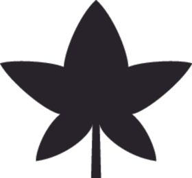 植物系列树叶