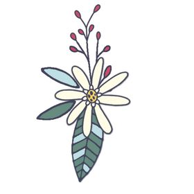 小清新花朵植物插画