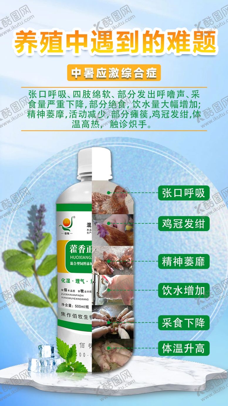 编号：47950602061515358653【酷图网】源文件下载-藿香正气功能海报