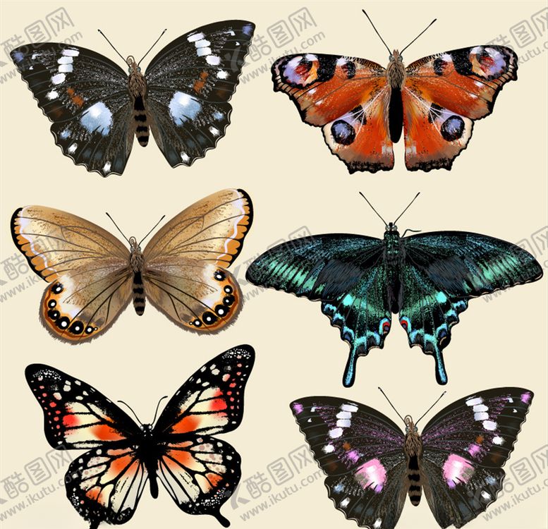 编号：66089809102125306592【酷图网】源文件下载-卡通蝴蝶